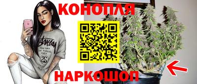 гидропоника Кингисепп