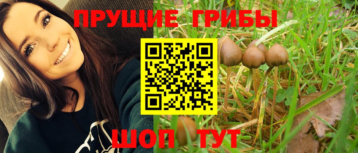 Галлюциногенные грибы MAGIC MUSHROOMS  Вход с VPN  Вышний Волочёк 